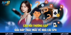 Câu Hỏi Thường Gặp Tại SP8 Tài Liệu Cần Cho Người Chơi