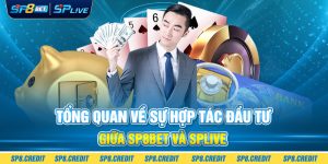 Tổng Quan Về Sự Hợp Tác Đầu Tư Giữa SP8BET và SPLIVE